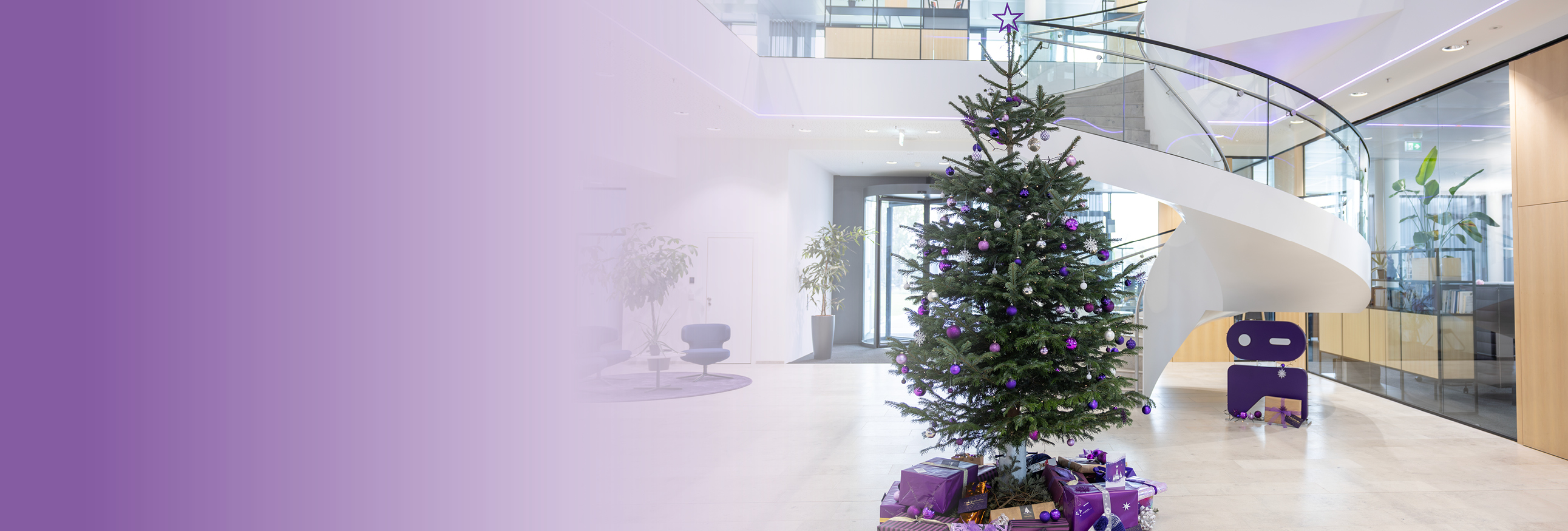 Schöne Weihnachtszeit!